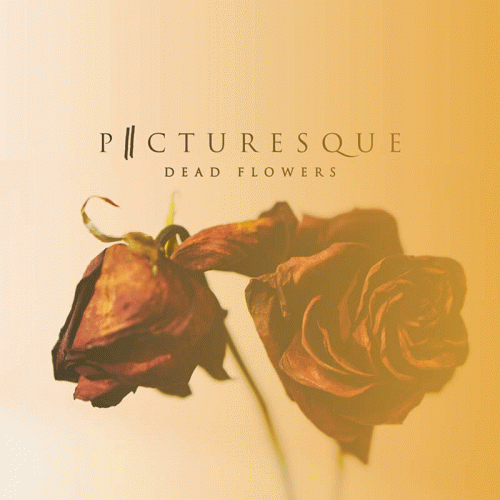 Picturesque : Dead Flowers